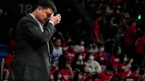传子承业：新任掌门人引领扩张之路